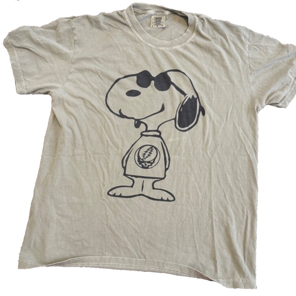 Grateful Dead Lot Snoopy Cool Joe Men's Large Gray Beige T-Shirt Comfort Colors